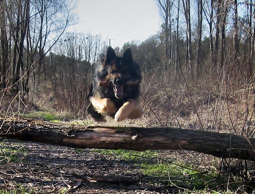 Kopie von Papa Nick und Umba 0180102