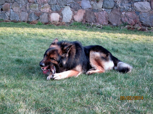Rieke .05.2.2014 056