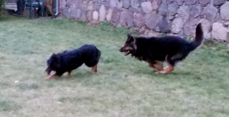 Rieke .07.02.2014 069