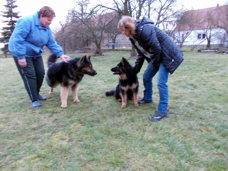 Rieke .07.02.2014 119
