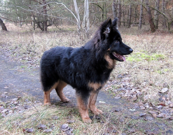 Rieke .14.1.2014 013