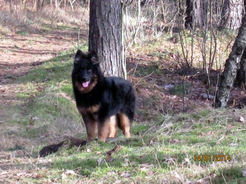 Rieke .14.1.2014 019