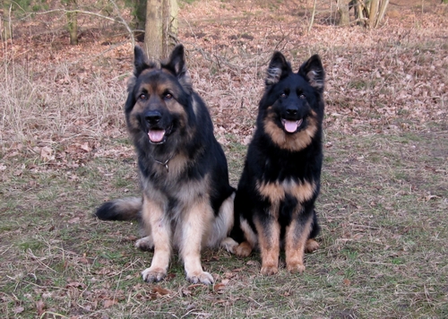 Rieke .14.1.2014 026