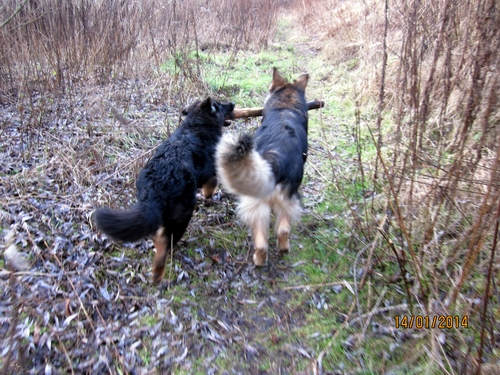 Rieke .14.1.2014 031