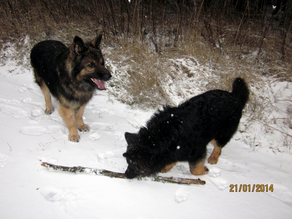 Rieke .21.1.2014 006