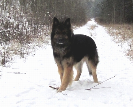 Rieke .22.1.2014 002