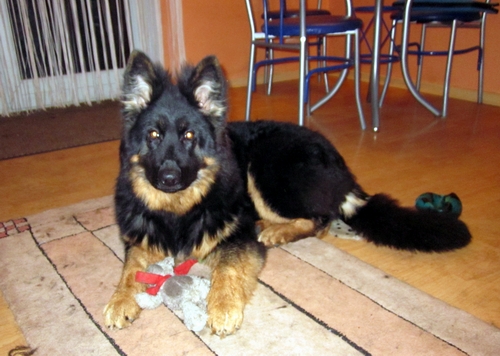 Rieke .6.1.2014 002