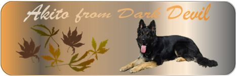 akito_banner_2