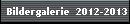 Bildergalerie  2012-2013
