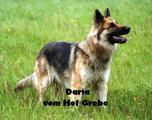 Daria von Hof  Grebe