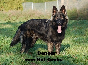Kopie von Denver.jpg18 Monate