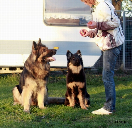 Kopie von _MG_0722
