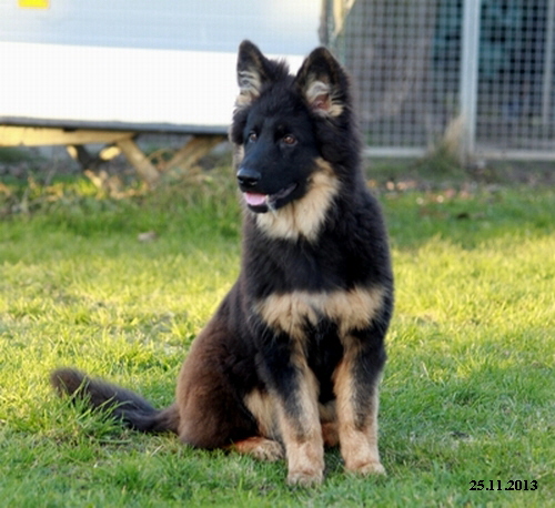 Kopie von _MG_0776