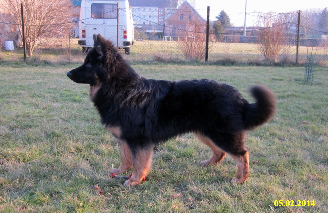 Rieke .05.2.2014 034