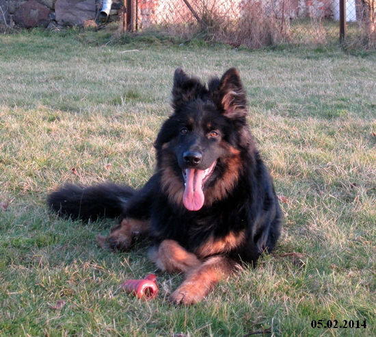 Rieke 05.02.2014 054