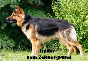 isy02