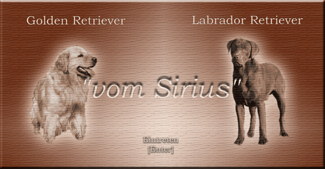 sirius_logo_start
